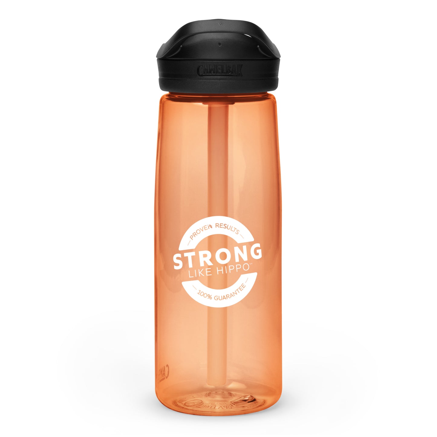 Sports water bottle